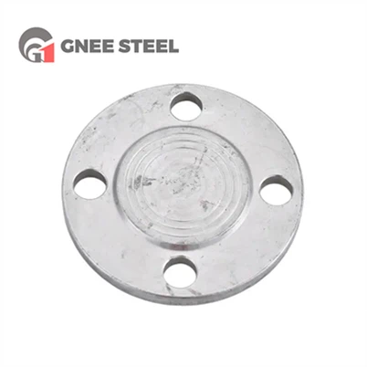 Couvercle de bride en acier inoxydable 304L