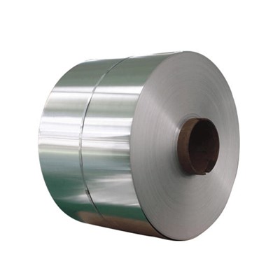 Acier type 301